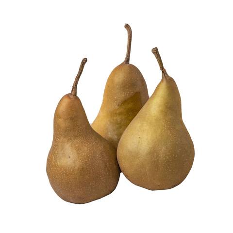 Pear Bosc - FRUIT BROTHERS