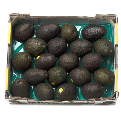 **SPECIAL** AVOCADO HASS - TRAY $29