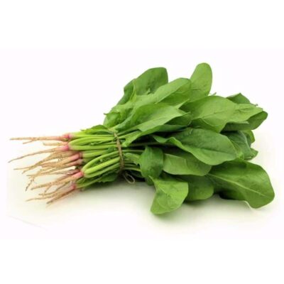 English Spinach
