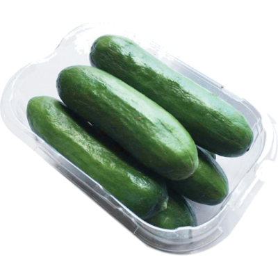 Cucumber - Baby